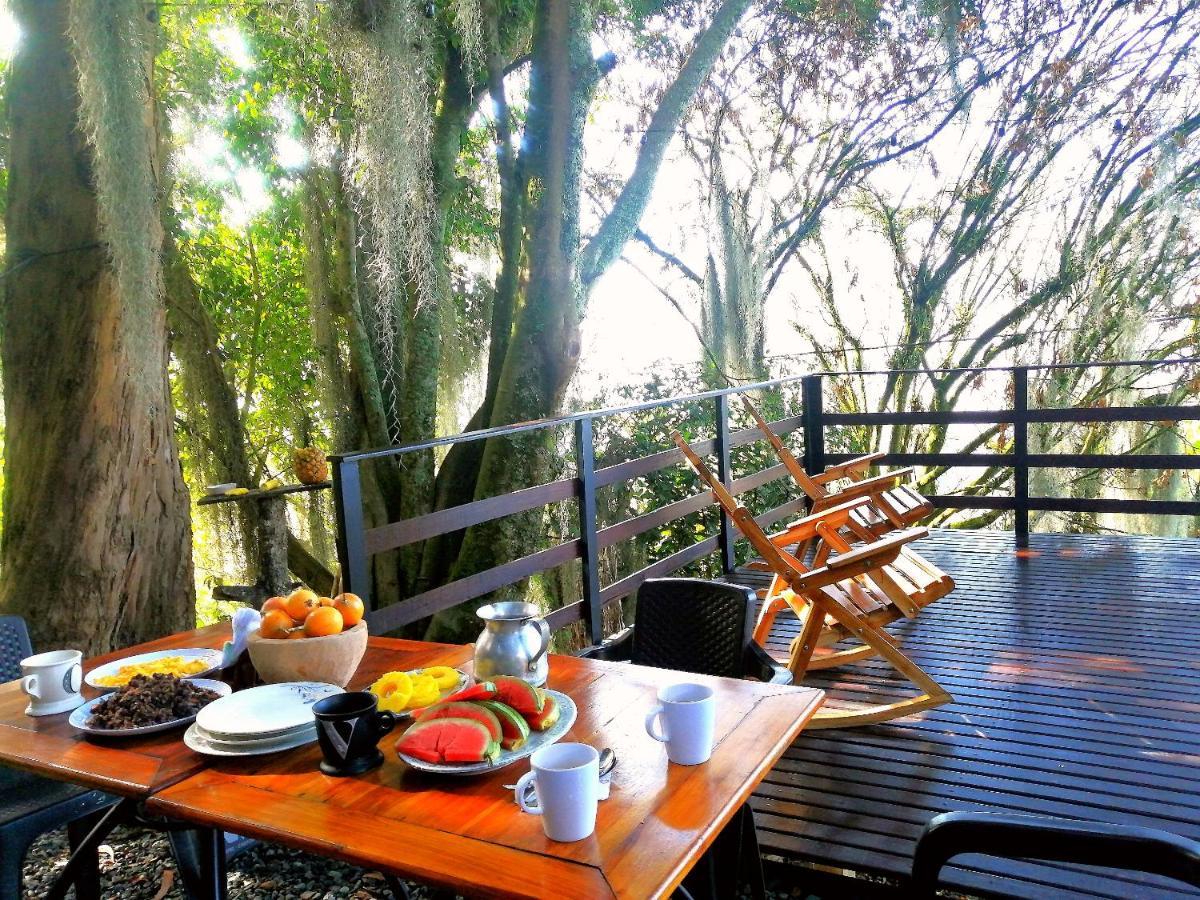 Bed and Breakfast Eco Hostal Casa La Juana Medellín Exterior foto