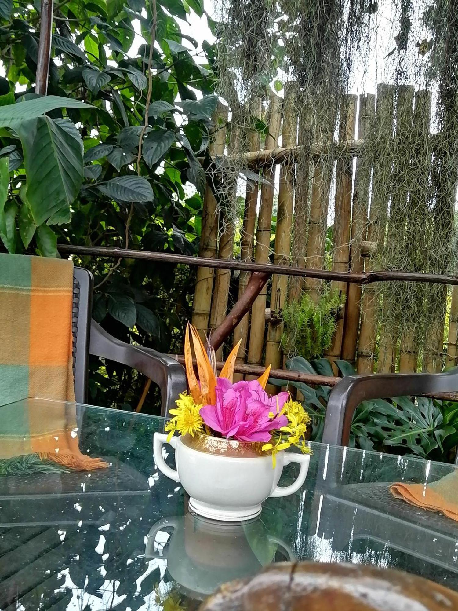 Bed and Breakfast Eco Hostal Casa La Juana Medellín Exterior foto